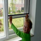 Rolhorren